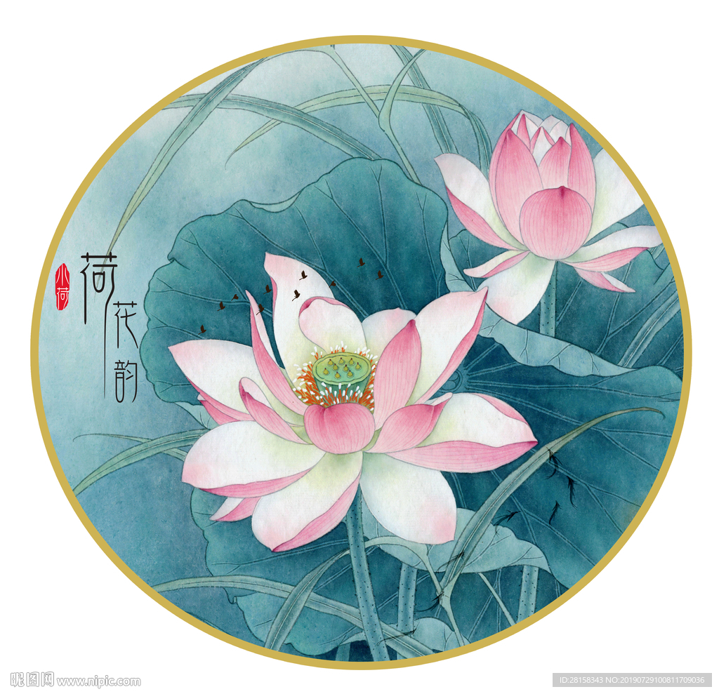 荷花
