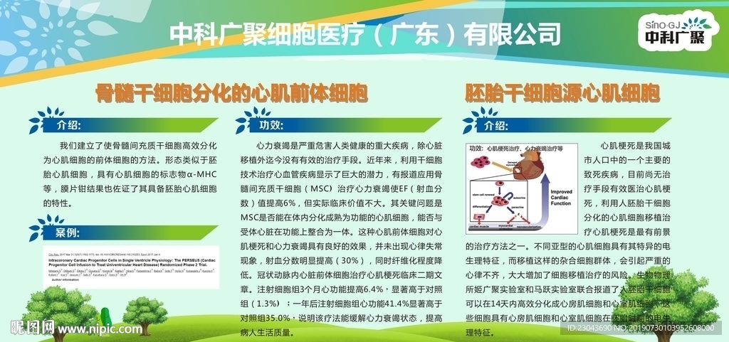 骨髓干细胞