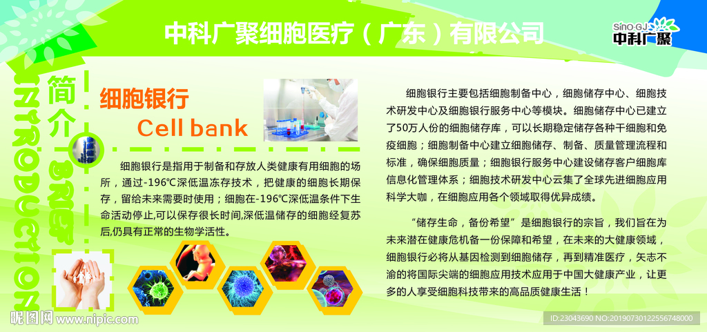 脑细胞