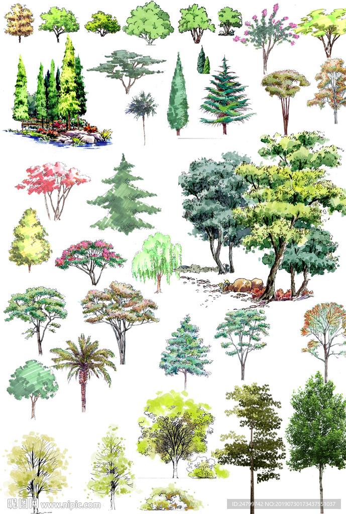 手绘常见树种
