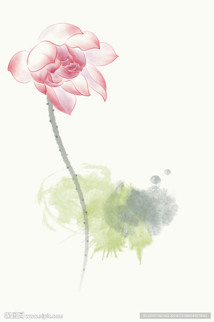 荷花