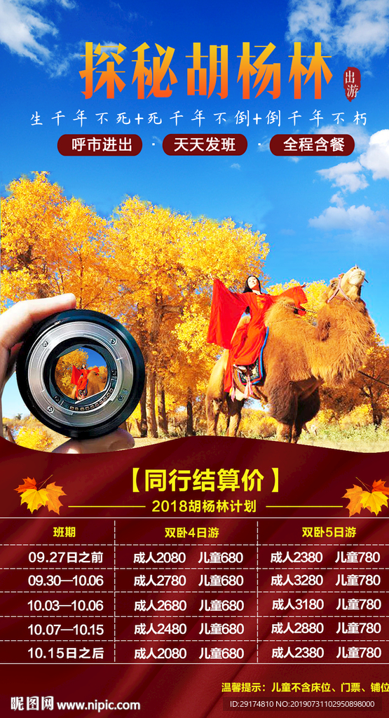 胡杨林海报