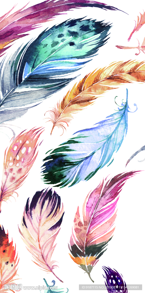 手机壳图案羽毛