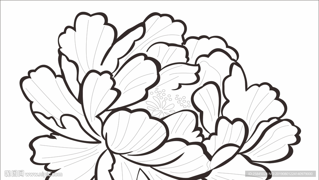 线条牡丹花