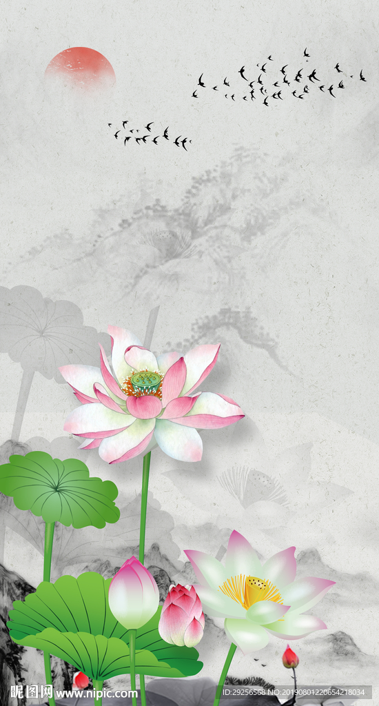 荷花