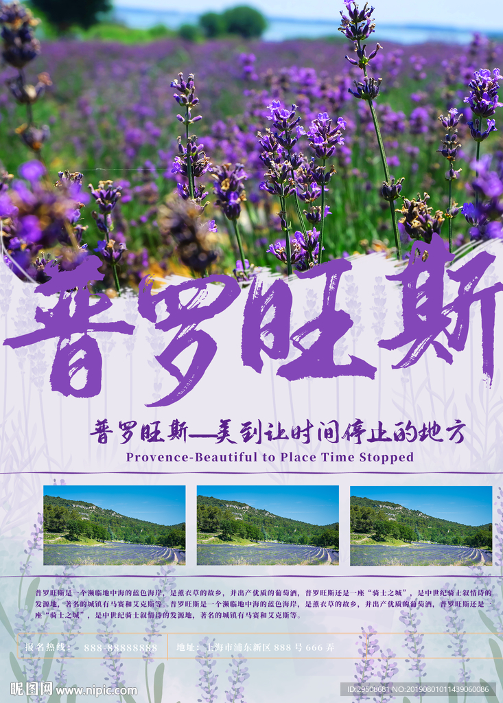 普罗旺斯