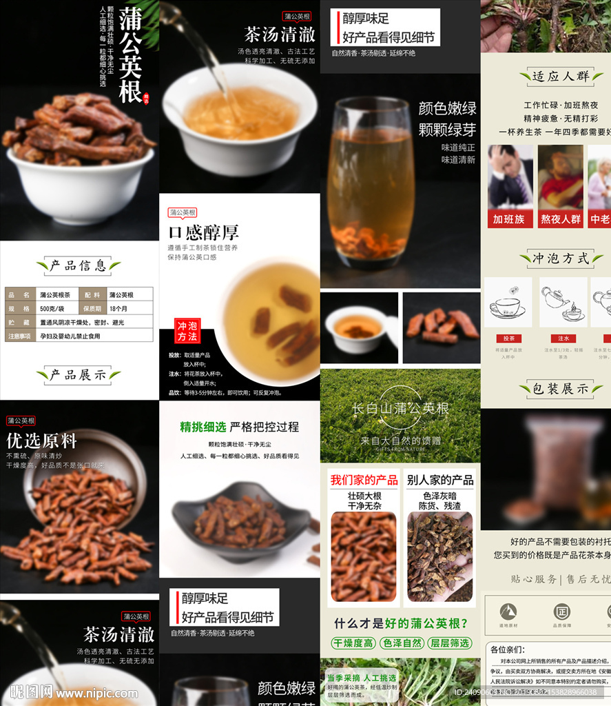 蒲公英根