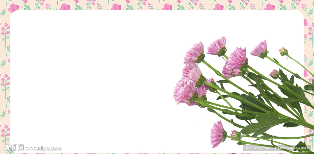 雏菊边框