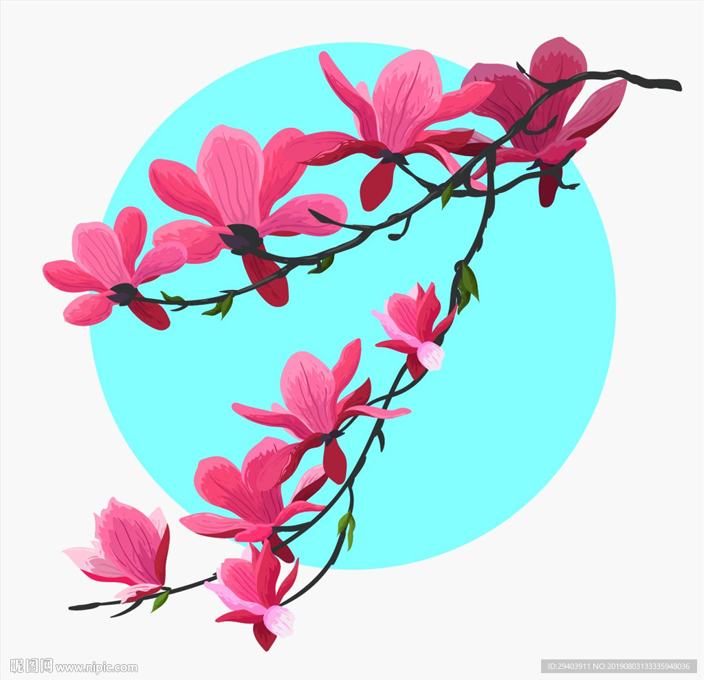 花卉