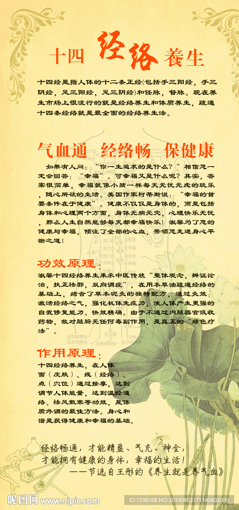 十四经络养生