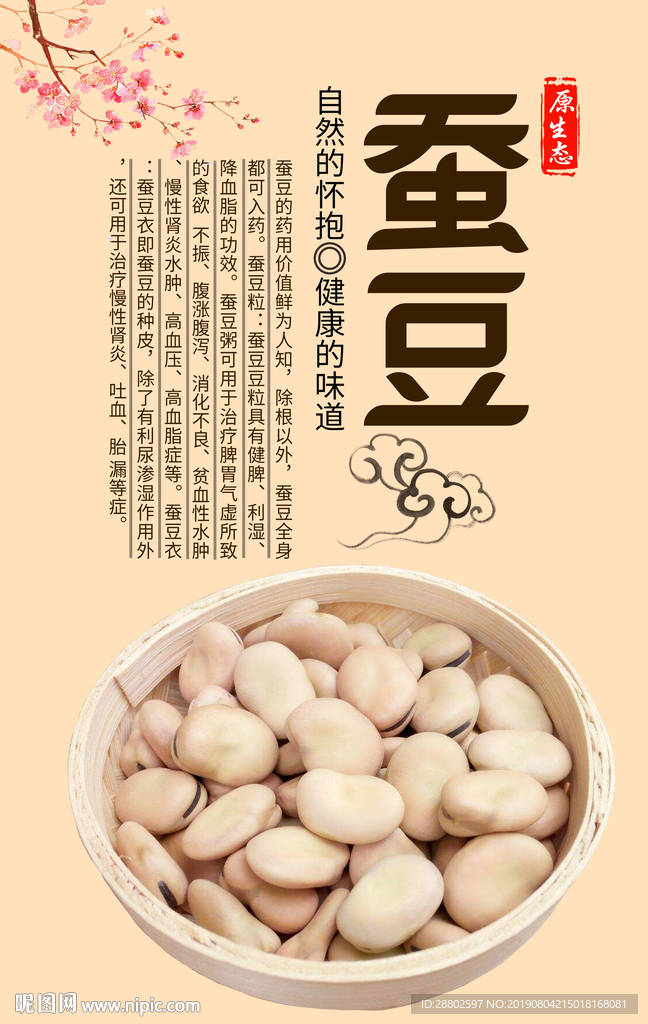 蚕豆