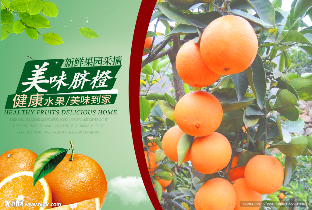脐橙