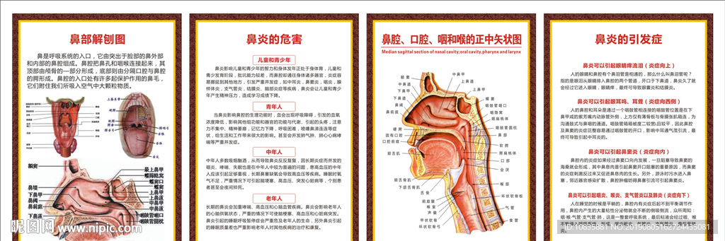 鼻炎的危害