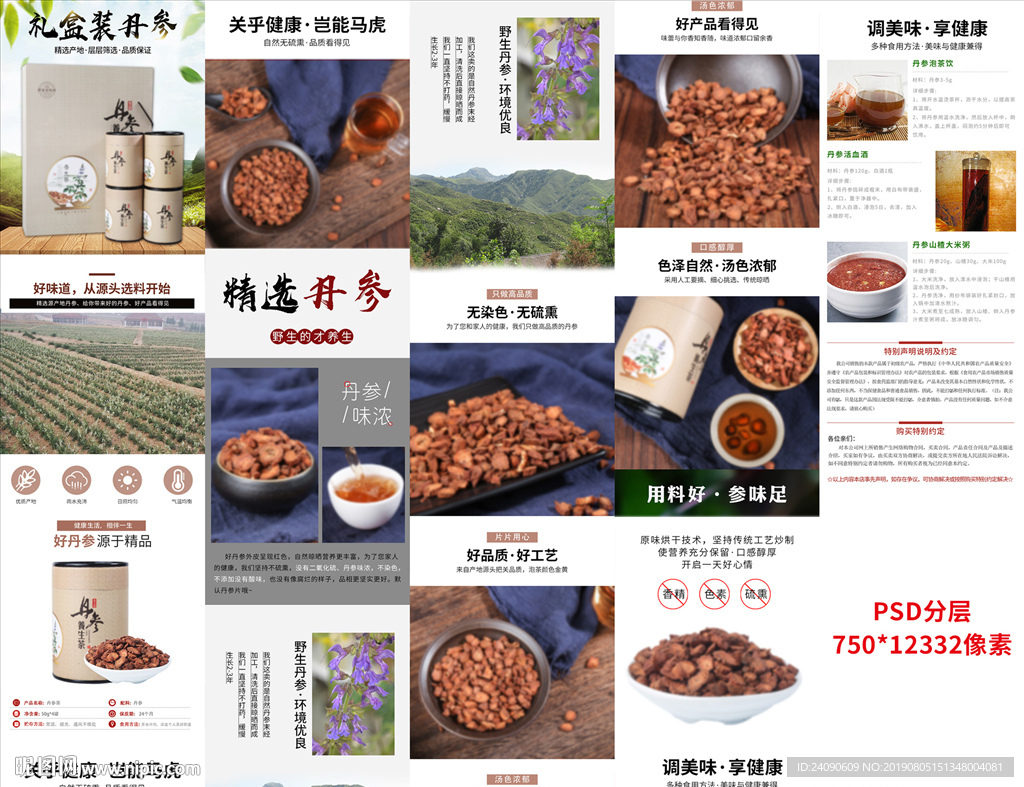 丹参详情