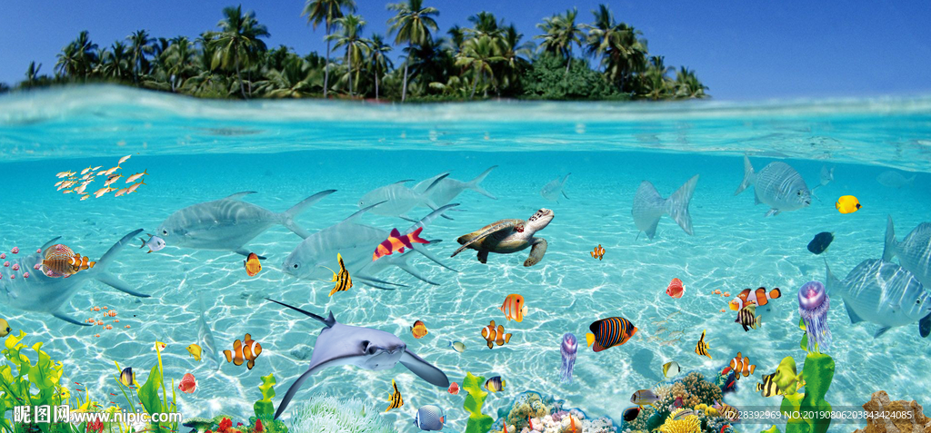 海洋生物