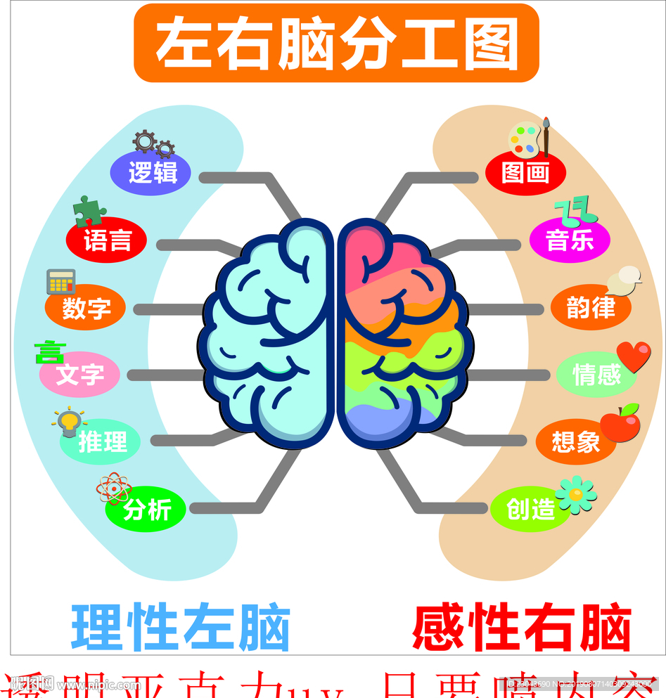 左右脑分工图