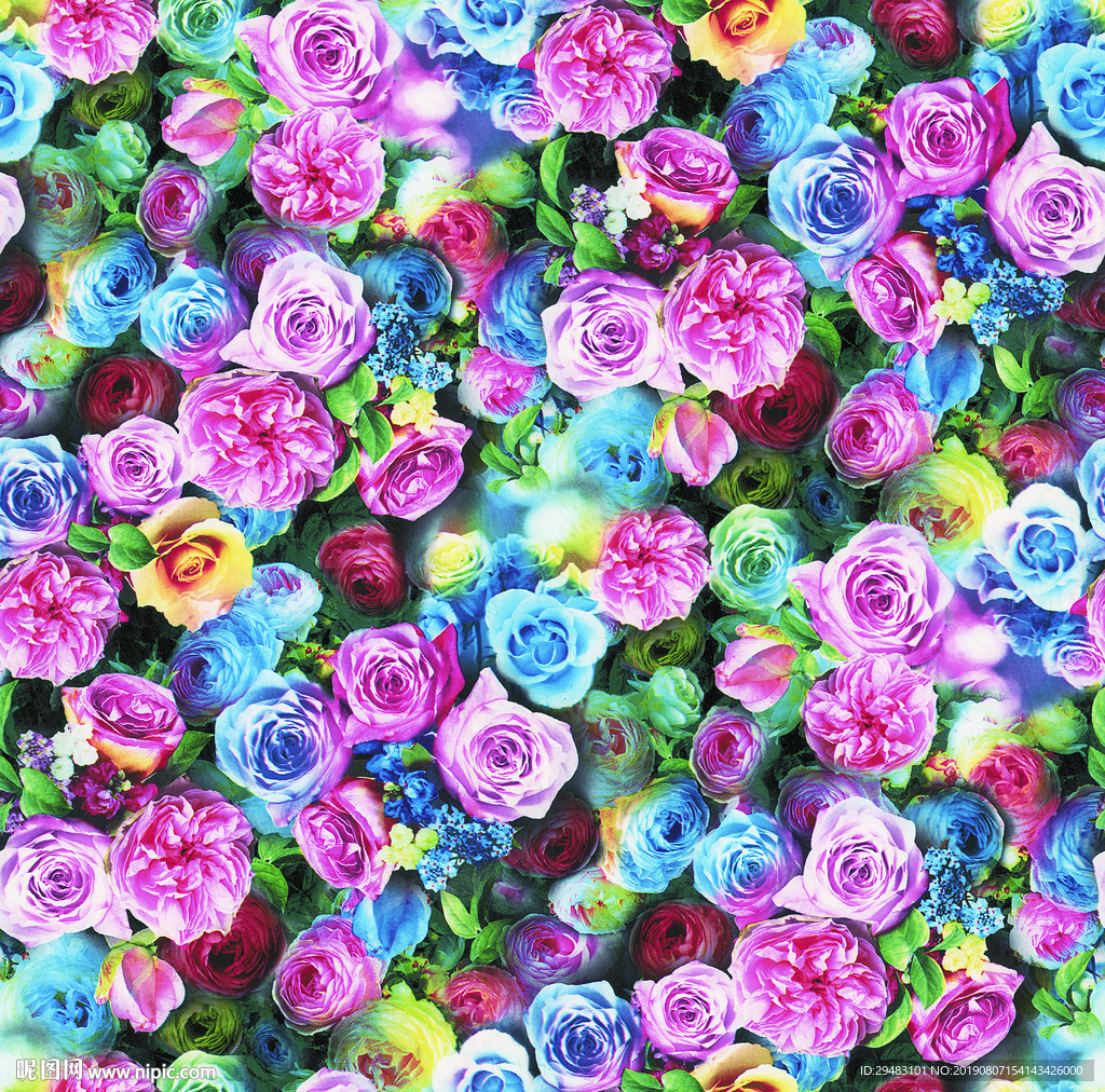 彩色大花 鲜花