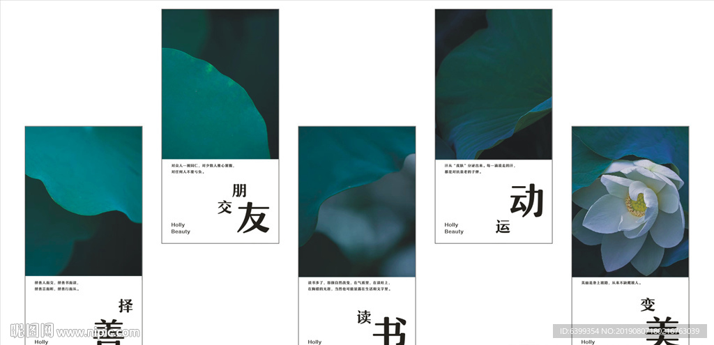 荷花挂画