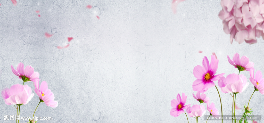 灰色系清新花朵背景