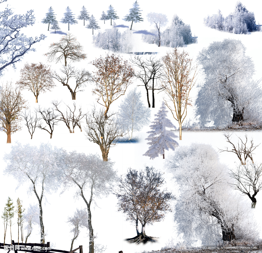 雪树