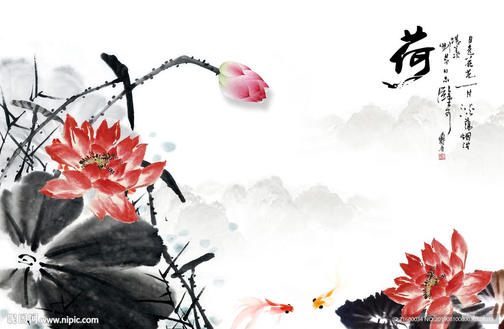 荷花
