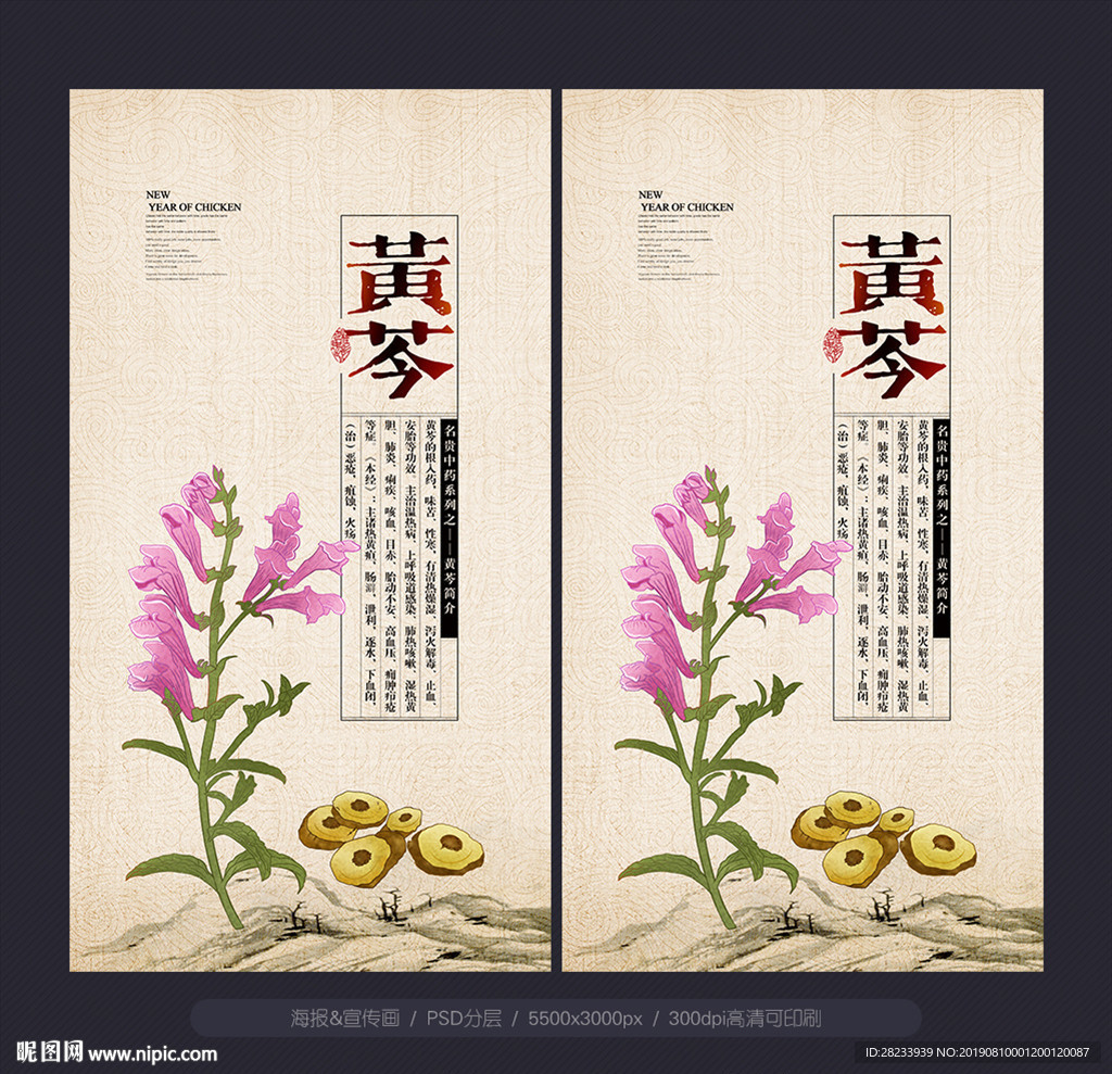 黄芩