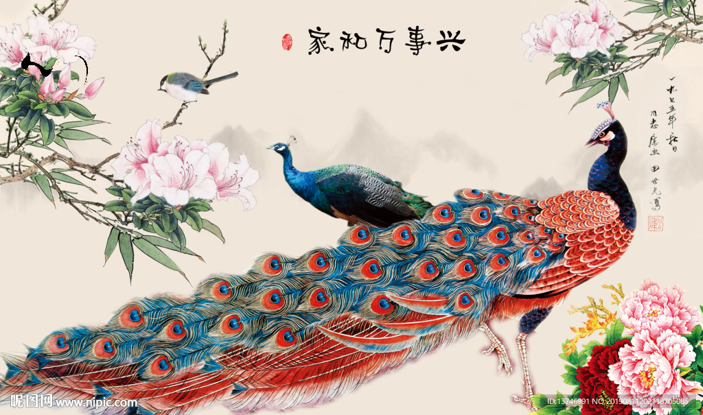 孔雀