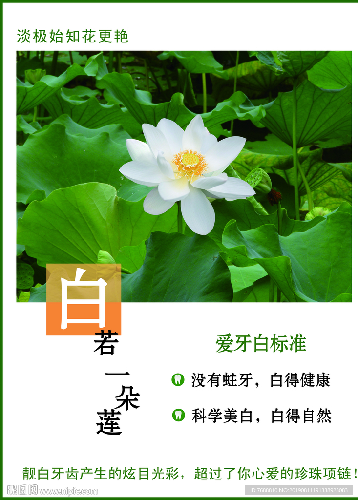 牙科广告 牙科海报 白若一朵莲
