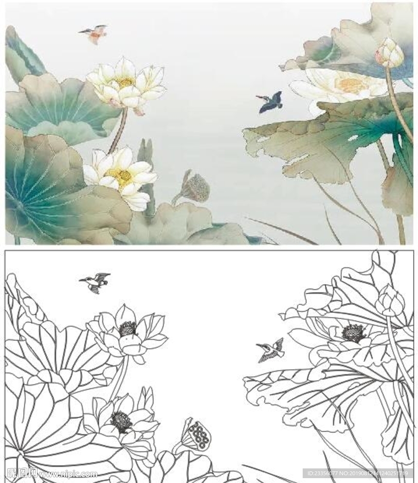 荷花鸟