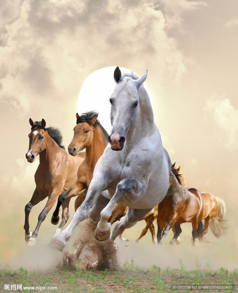 八骏图 马到成功  金玉龙马