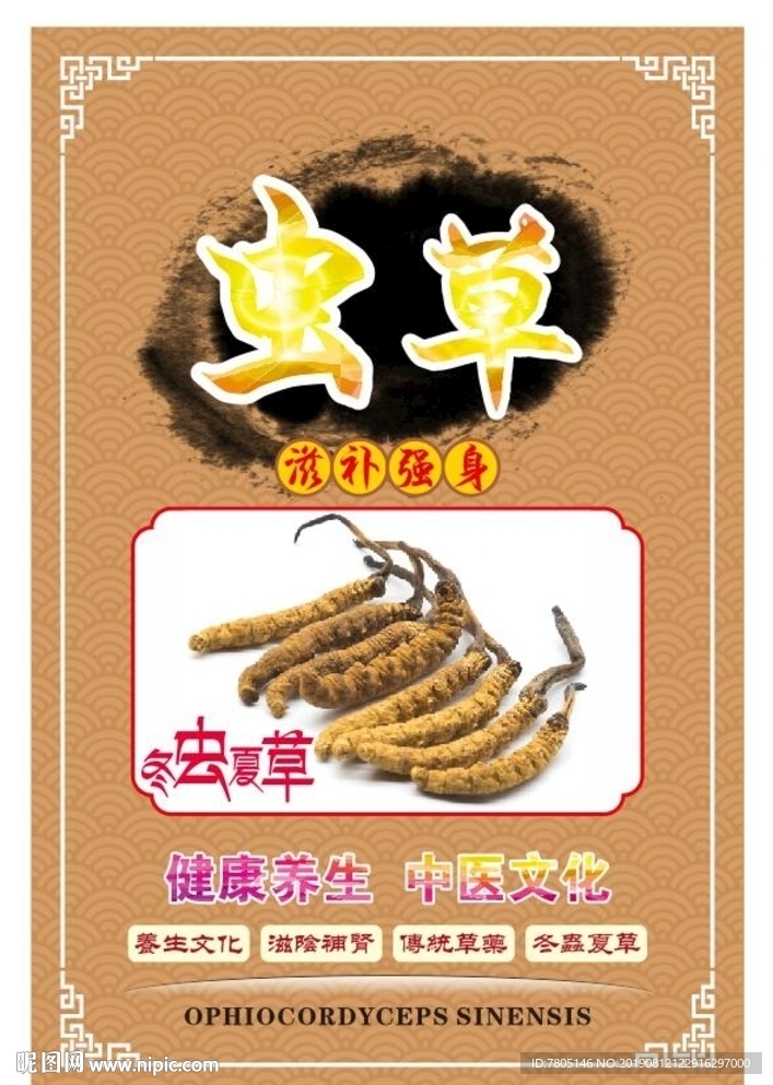 冬虫夏草