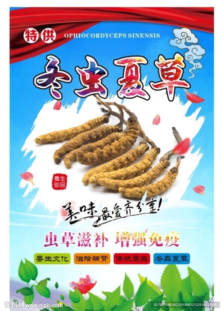 虫草海报