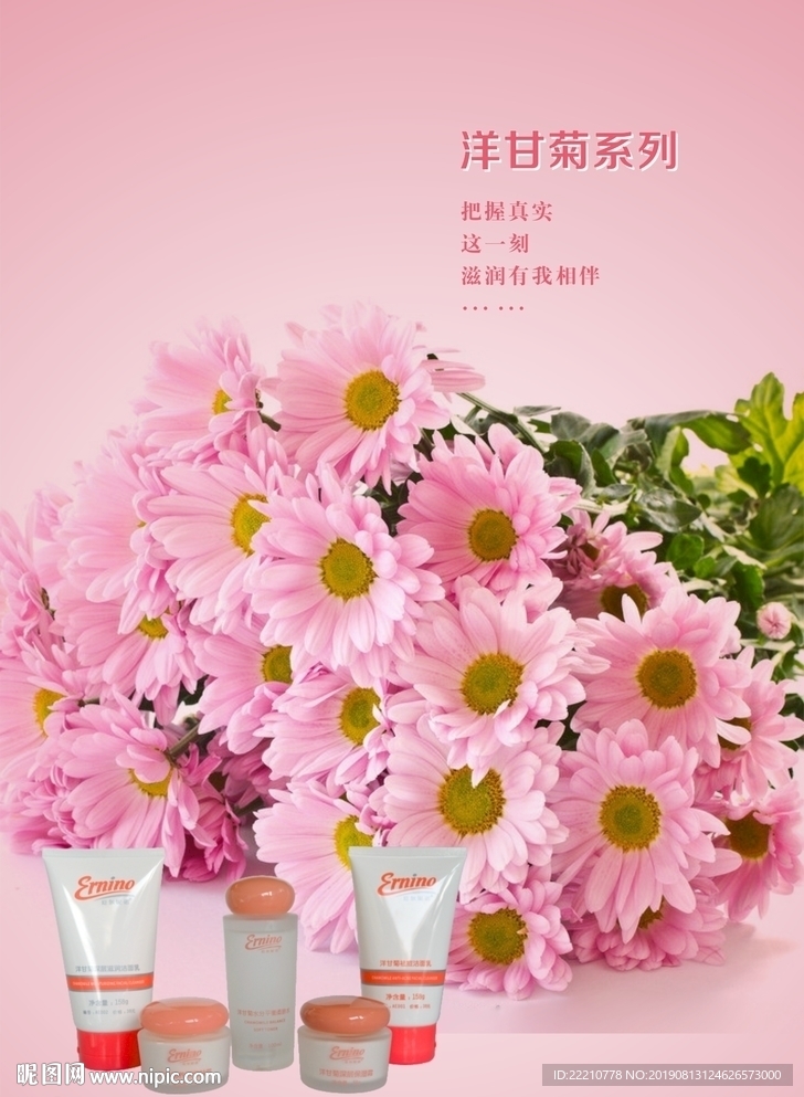 洋甘菊系列