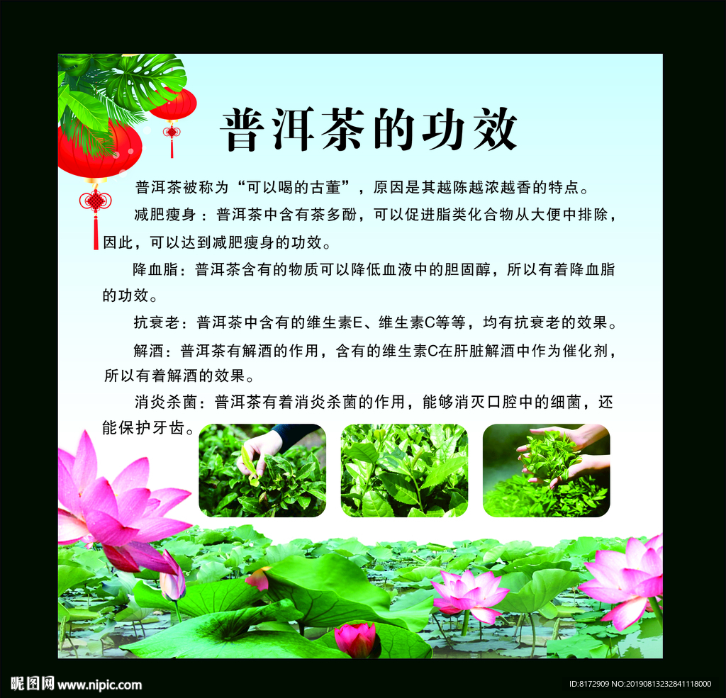 普洱茶
