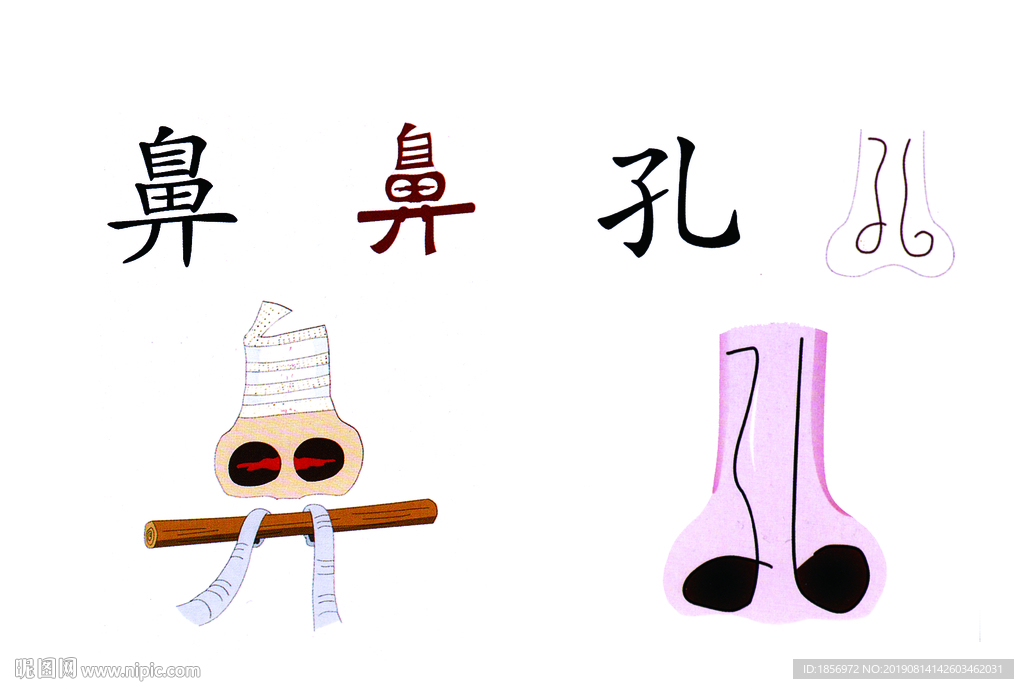 鼻孔图