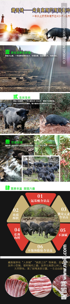 生鲜藏香猪详情创意海报设计