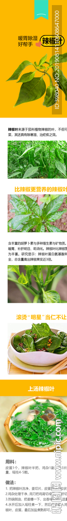生鲜辣椒叶蔬菜详情创意海报设计