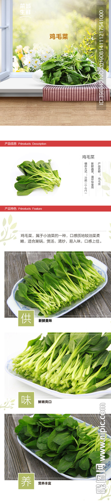 生鲜鸡毛菜蔬菜详情创意海报设计