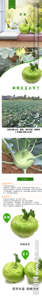 生鲜蔬菜大头菜详情创意海报设计