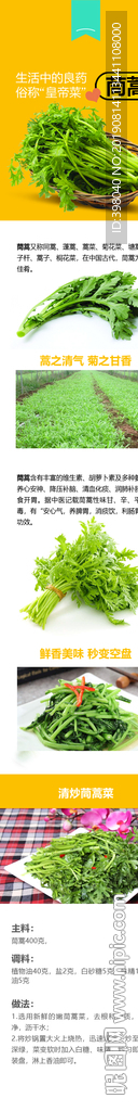 生鲜茼蒿蔬菜详情创意海报设计