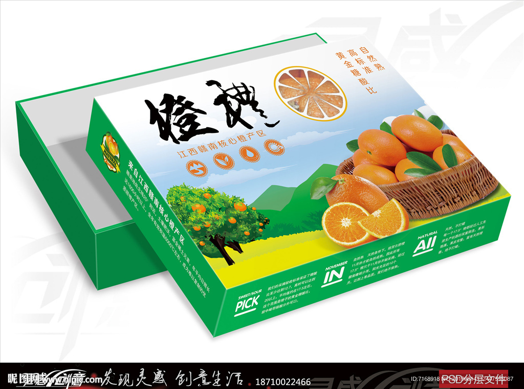 橙子礼盒 水果包装  展开图