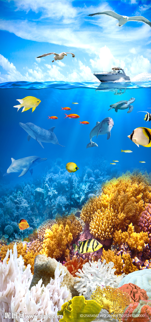 海底世界鱼类海藻海洋玄关