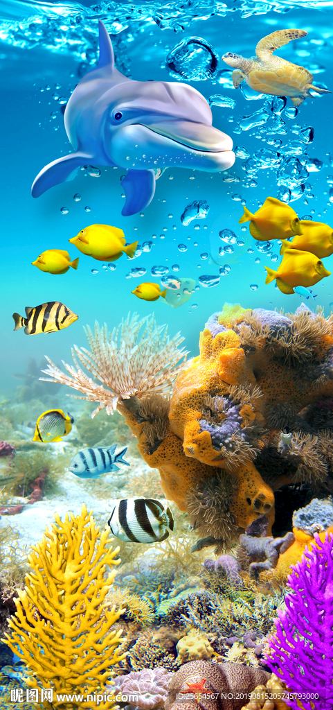 海底世界鱼类海藻海洋玄关