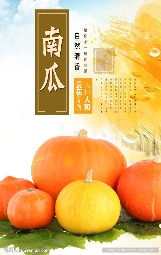 南瓜
