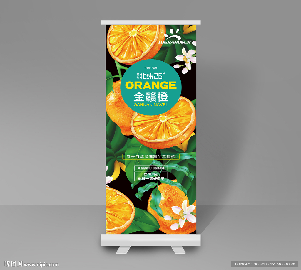 易拉宝 金赣橙 海报 橙子插画