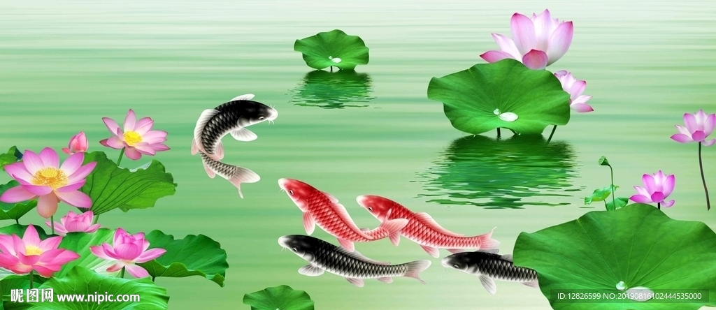 荷花