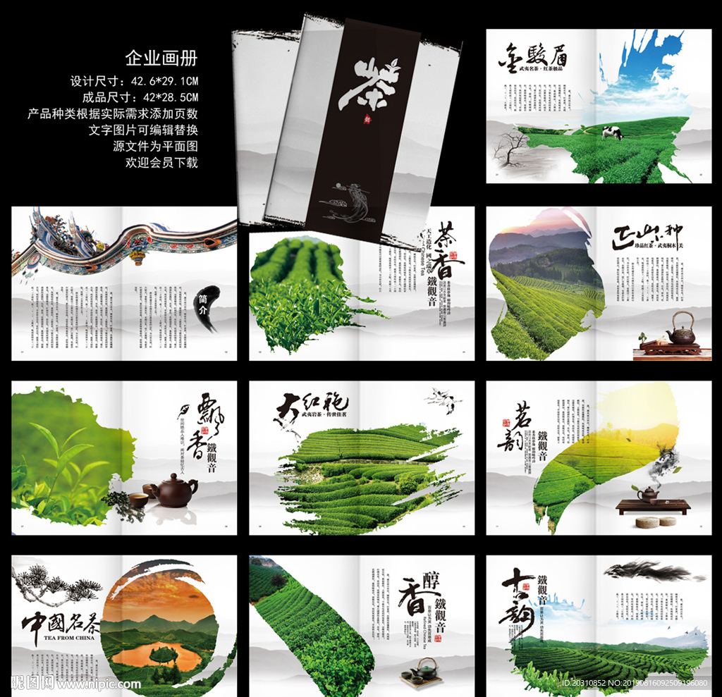 茶叶画册  茶画册
