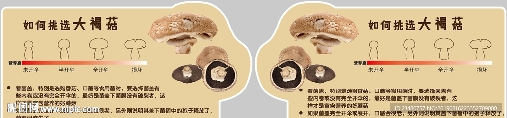 如何挑选蘑菇