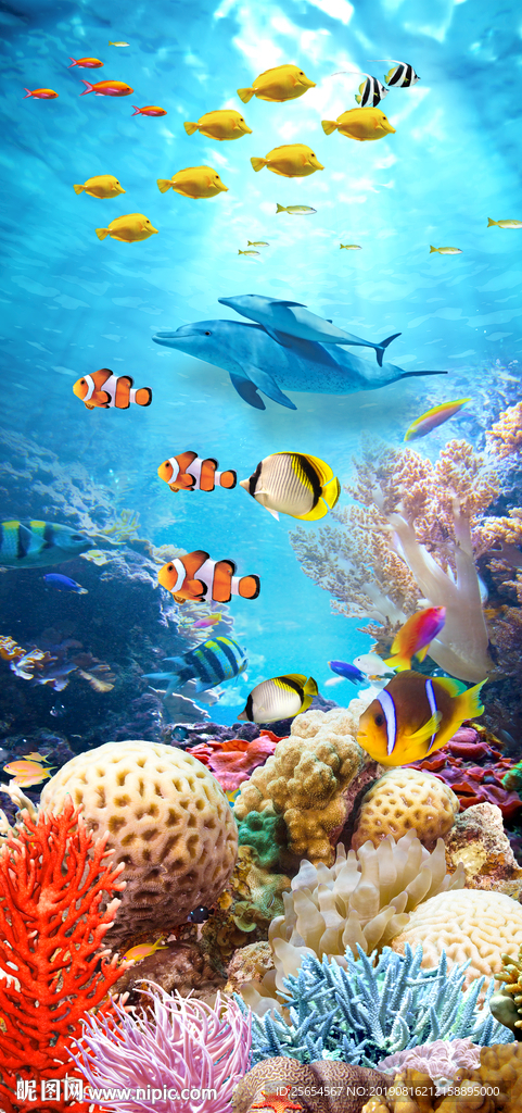 海底世界海豚热带鱼3D玄关
