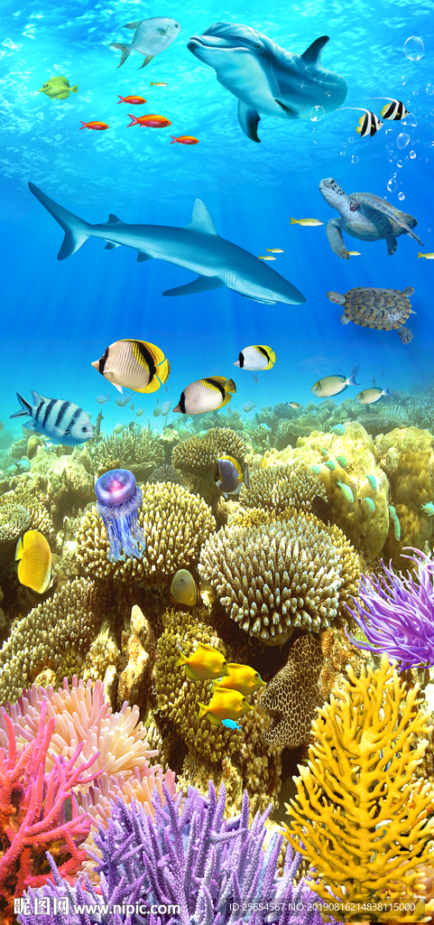 海底世界海豚热带鱼3D玄关